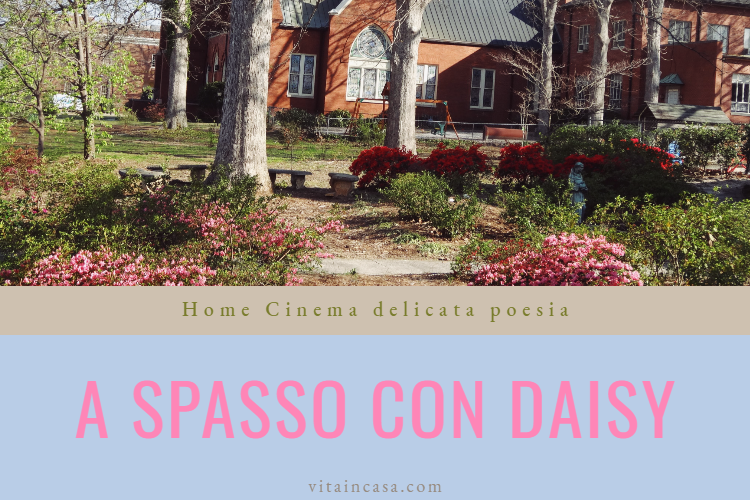 Home Cinema delicata poesia by vitaincasa (1)